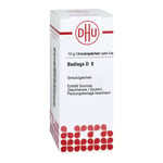 Badiaga D 6