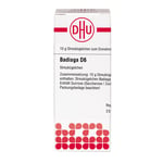 Badiaga D 6