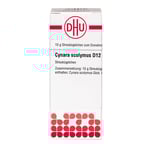 Cynara Scolymus D 12 