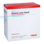 Arteria Suis Inj Org