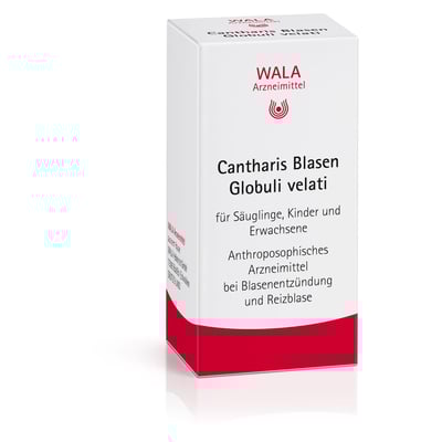 Cantharis Blasen Globuli velati