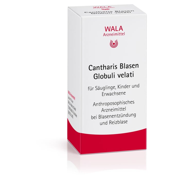Cantharis Blasen Globuli velati