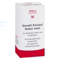 Skorodit Kreislauf velati