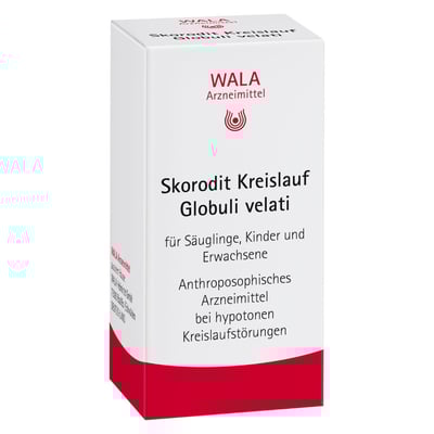 Skorodit Kreislauf velati