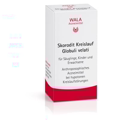 Skorodit Kreislauf velati
