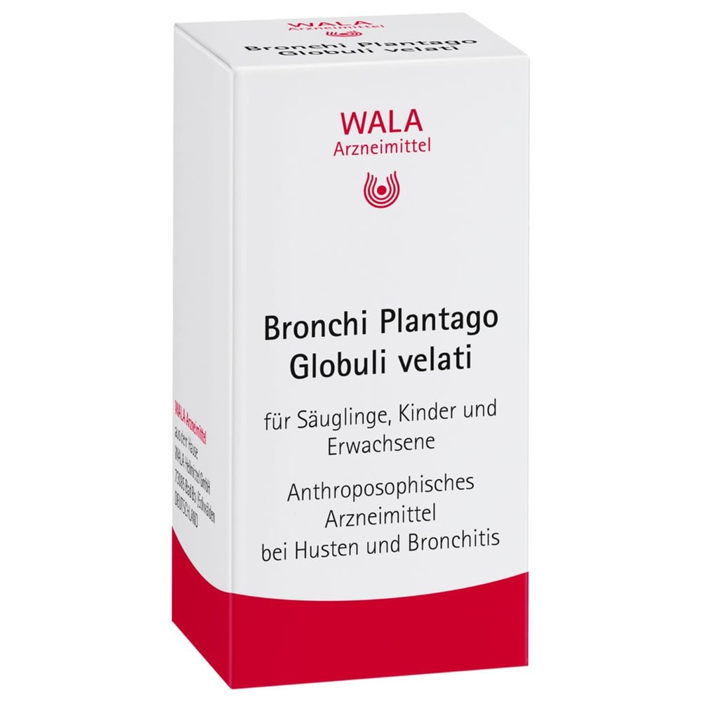 Bronchi Plantago velati