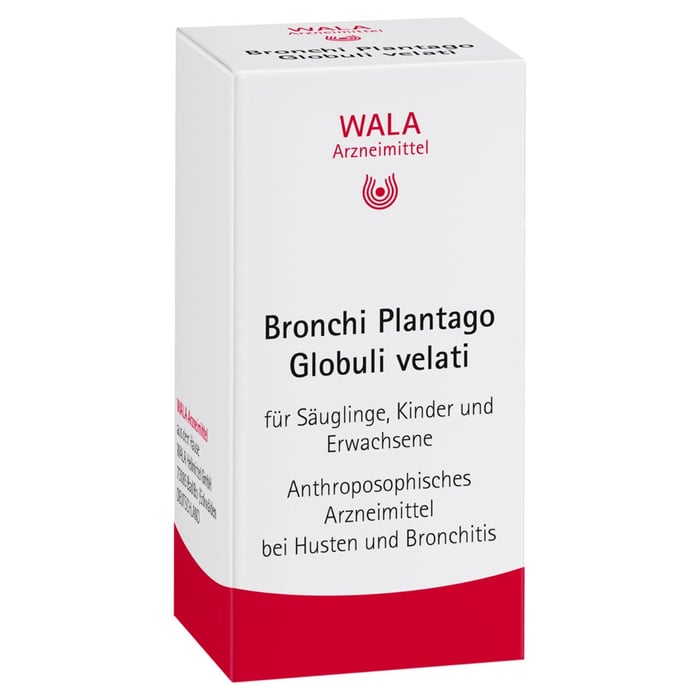 Bronchi Plantago velati