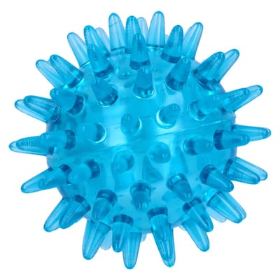 Massage Igelball 6cm lose