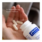 Pure Encapsulations Schwangerschafts-Formel Kapseln