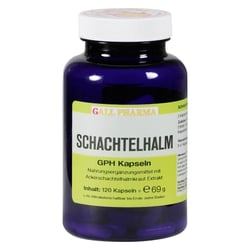 Schachtelhalm Kapseln