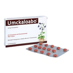 Umckaloabo 20 mg Produktbild 3