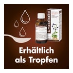 Umckaloabo 20 mg Produktbild 6