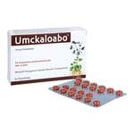 Umckaloabo 20 mg Produktbild 3