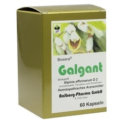 Galgant