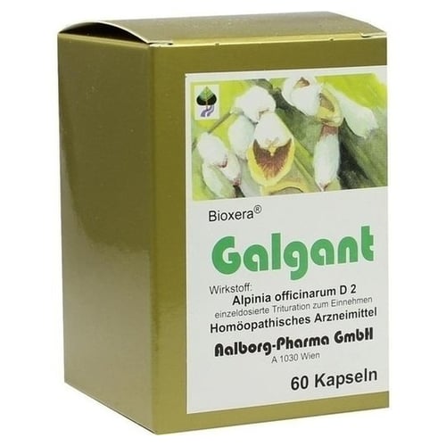 Galgant