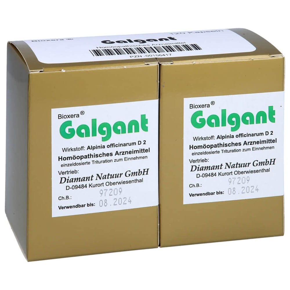 Galgant