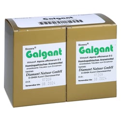 Galgant