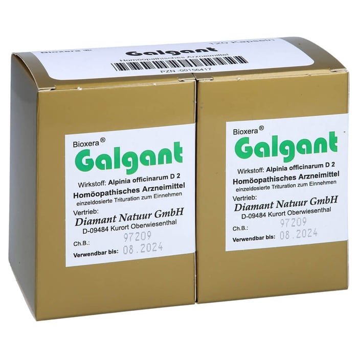 Galgant
