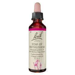 Bachblüten Star of Bethlehem Tropfen