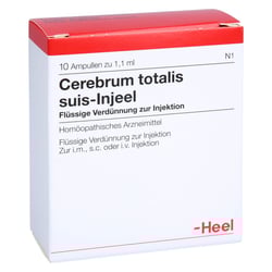 Cerebrum totalis suis-Injeel