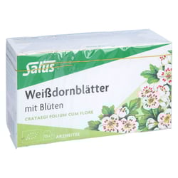 Weißdornblätter mit Blüten Arzneitee Salus