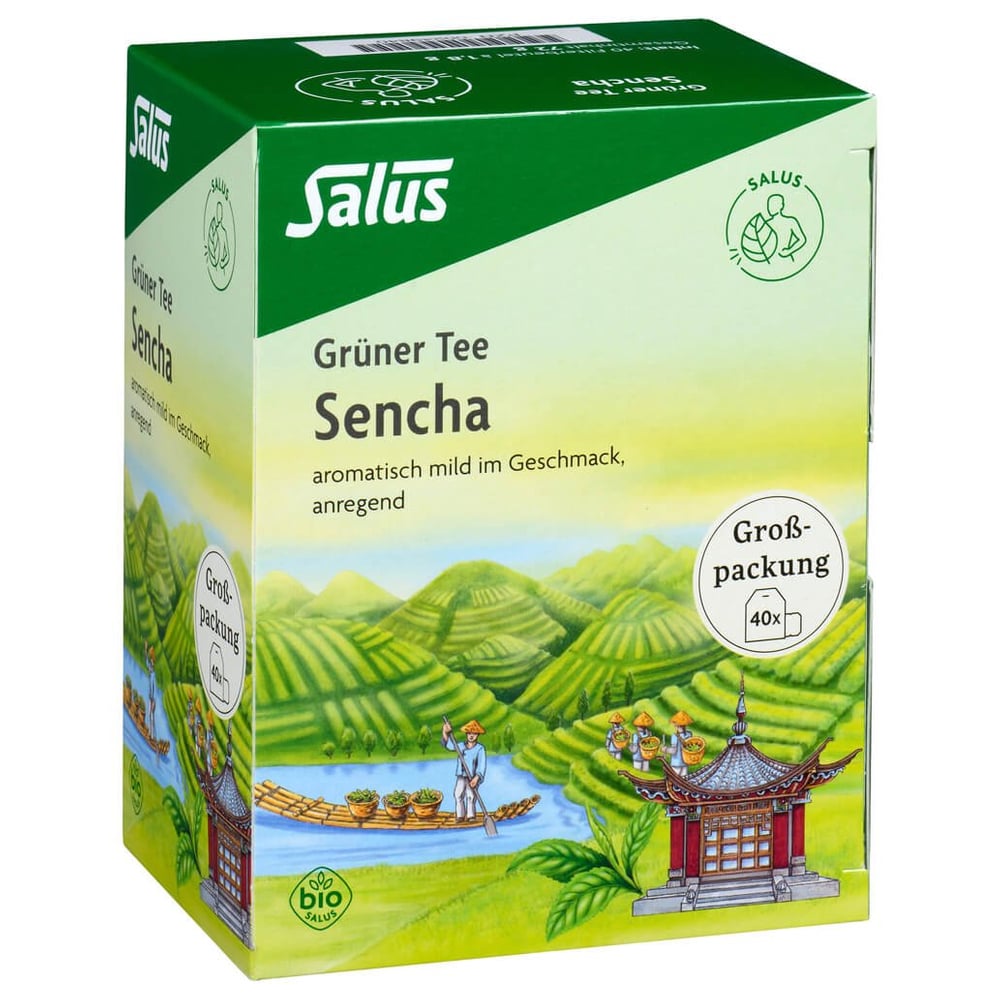 Grüner Tee Grosspackung bio Salus