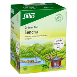 Grüner Tee Grosspackung bio Salus