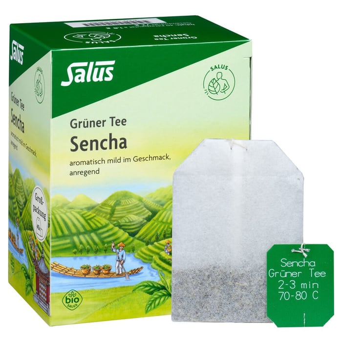 Grüner Tee Grosspackung bio Salus
