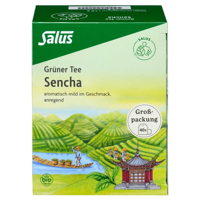 Grüner Tee Grosspackung bio Salus