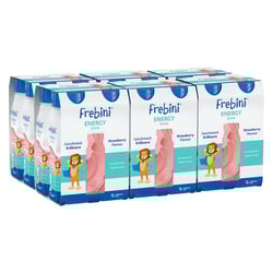 Frebini energy DRINK Erdbeere Trinkflasche