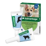 Advantage 400 Lösung Pipetten Hunde ab 25 kg Produktbild 4