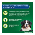 Advantage 400 Lösung Pipetten Hunde ab 25 kg Produktbild 6