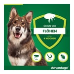 Advantage 400 Lösung Pipetten Hunde ab 25 kg Produktbild 7