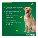 Advantage 400 Lösung Pipetten Hunde ab 25 kg Produktbild 8