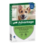 Advantage 400 Lösung Pipetten Hunde ab 25 kg Produktbild 1