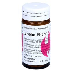 Lobelia Phcp