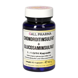 CHONDROITINSULFAT+Glusosaminsulfat 1:1 GPH Kapseln