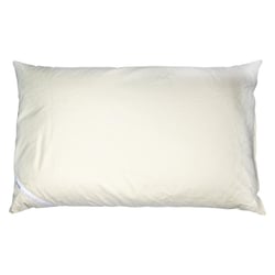 Dinkelkissen naturbelassen 40x60cm