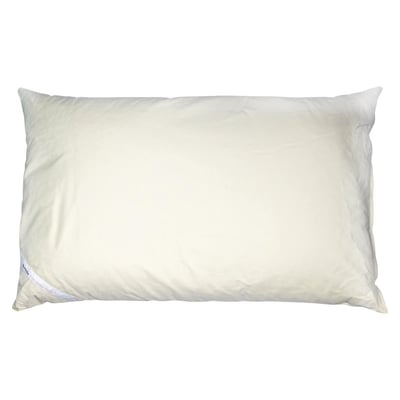 Dinkelkissen naturbelassen 40x60cm