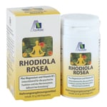 Avitale Rhodiola Rosea