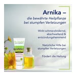 Profelan Salbe nach Dr. Müller-Wohlfahrt