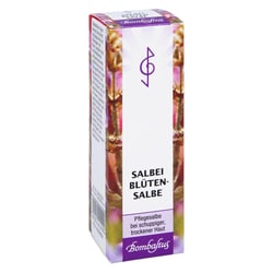 SALBEIBLÜTEN-Salbe