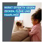 Frontline Spot on H 20 Lösung Hunde