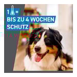 Frontline Spot on H 20 Lösung Hunde