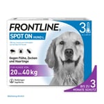 Frontline Spot On bei Hunden 20 - 40 kg