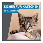 Frontline Spot On gegen Zecken und Flöhe bei Katzen Produktbild 6