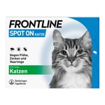 Frontline Spot On gegen Zecken und Flöhe bei Katzen