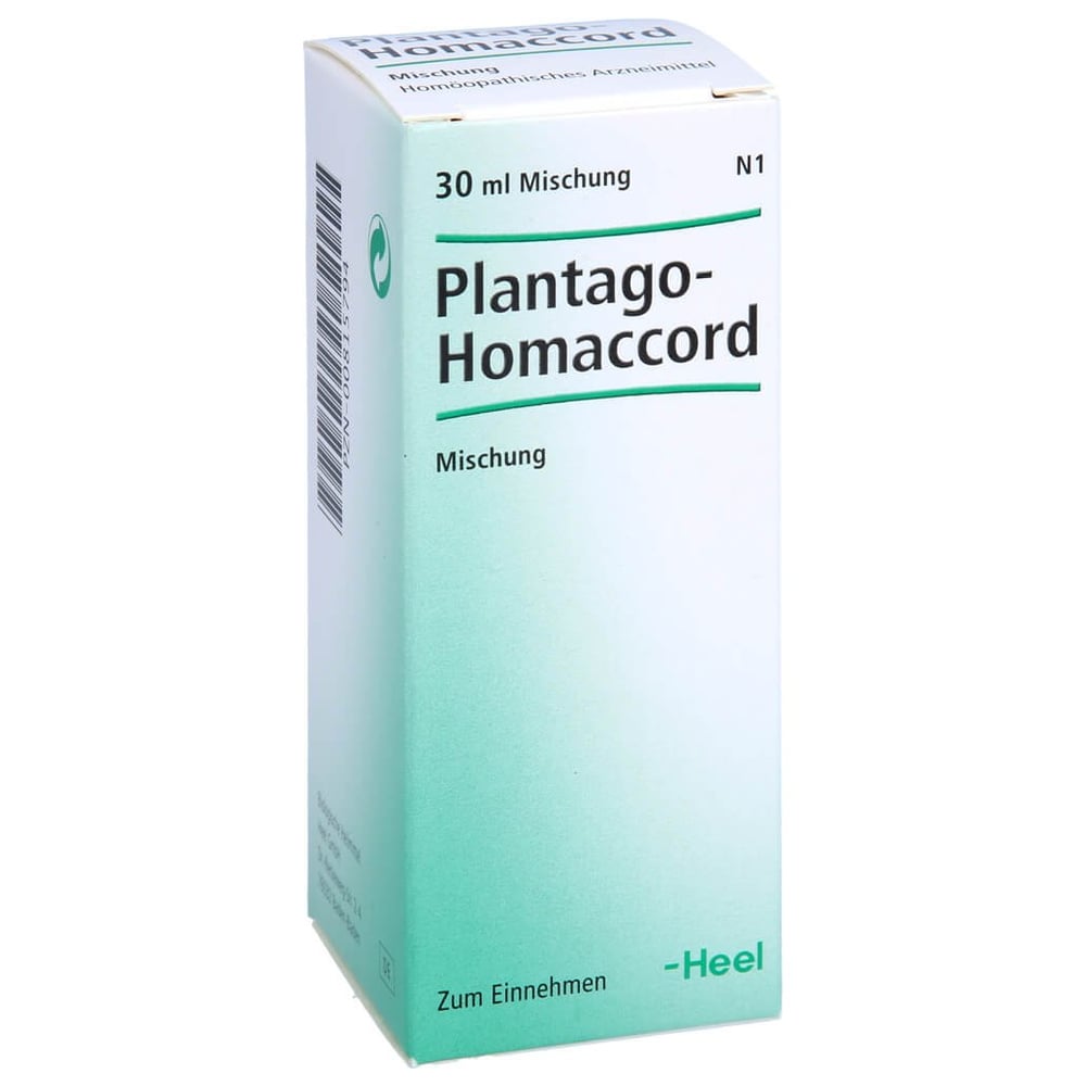 Plantago-Homaccord