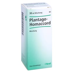 Plantago-Homaccord
