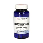 Pantothensäure 6 mg GPH Kapseln